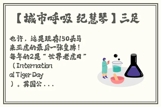 taipei-nana51今日吃瓜
